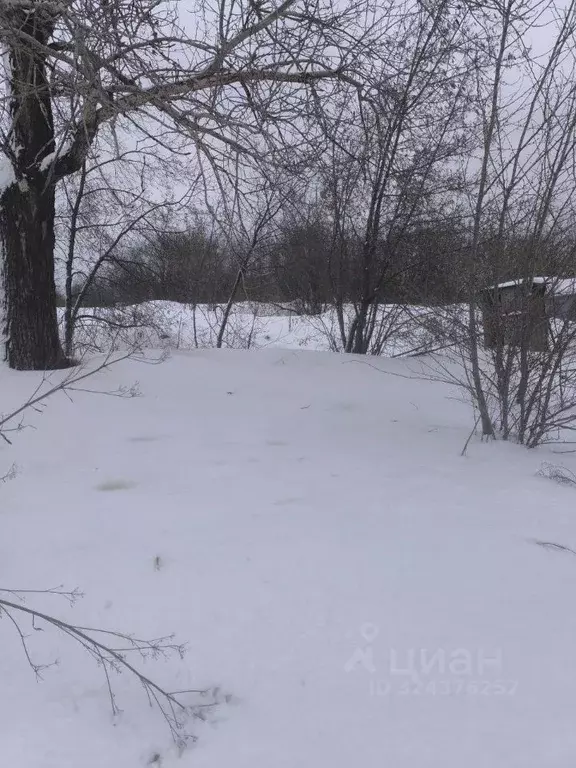 Участок в Новосибирская область, с. Новолуговое ул. Чапаева (17.0 ... - Фото 1