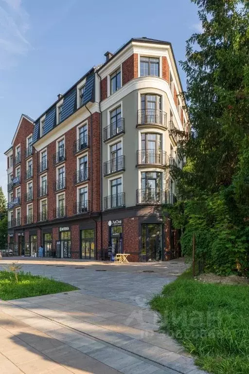 1-к кв. Калининградская область, Светлогорск Калининградский просп., ... - Фото 1