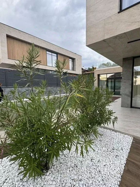 Дом в Краснодарский край, Сочи городской округ, с. Верхневеселое ул. ... - Фото 2