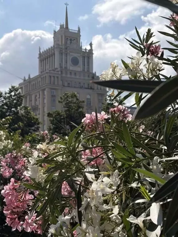 Комната Москва Большая Садовая ул., 5 (10.0 м) - Фото 2
