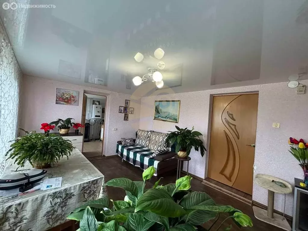 Дом в Старооскольский городской округ, село Курское (97 м) - Фото 1