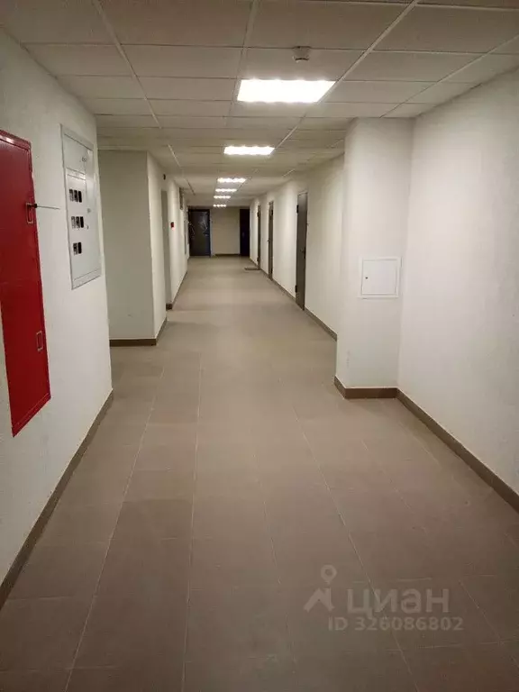 Студия Ленинградская область, Всеволожский район, Заневское городское ... - Фото 2