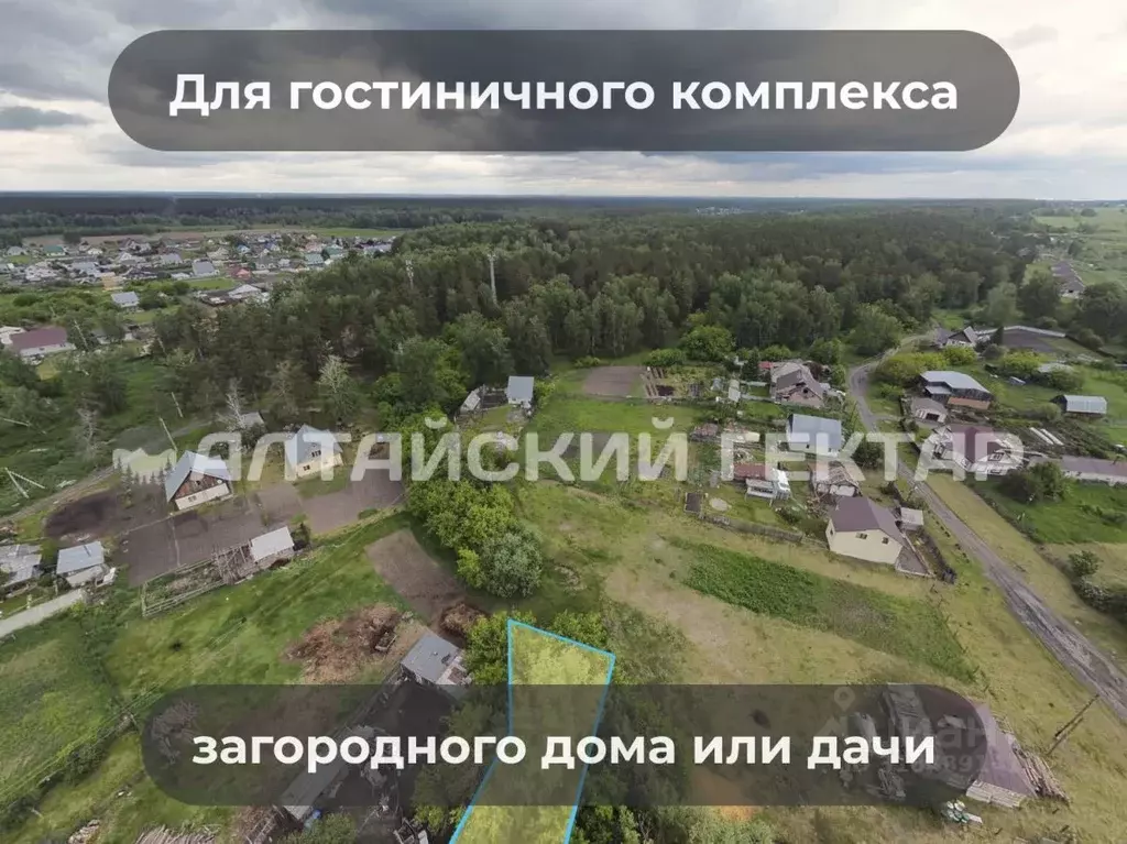 Участок в Алтайский край, Барнаул городской округ, пос. Черницк  ... - Фото 1
