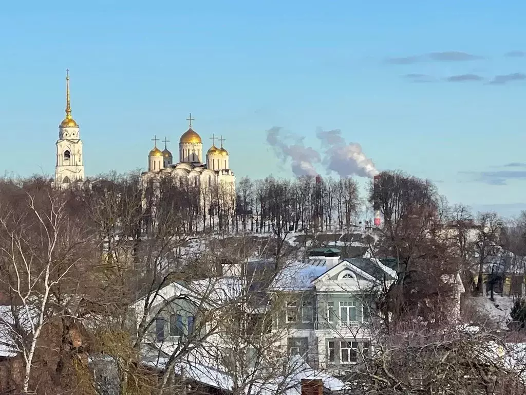 1-к кв. Владимирская область, Владимир Вознесенская ул., 15 (30.0 м) - Фото 0