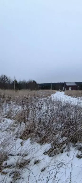 Участок в Нижегородская область, Богородский муниципальный округ, д. ... - Фото 0