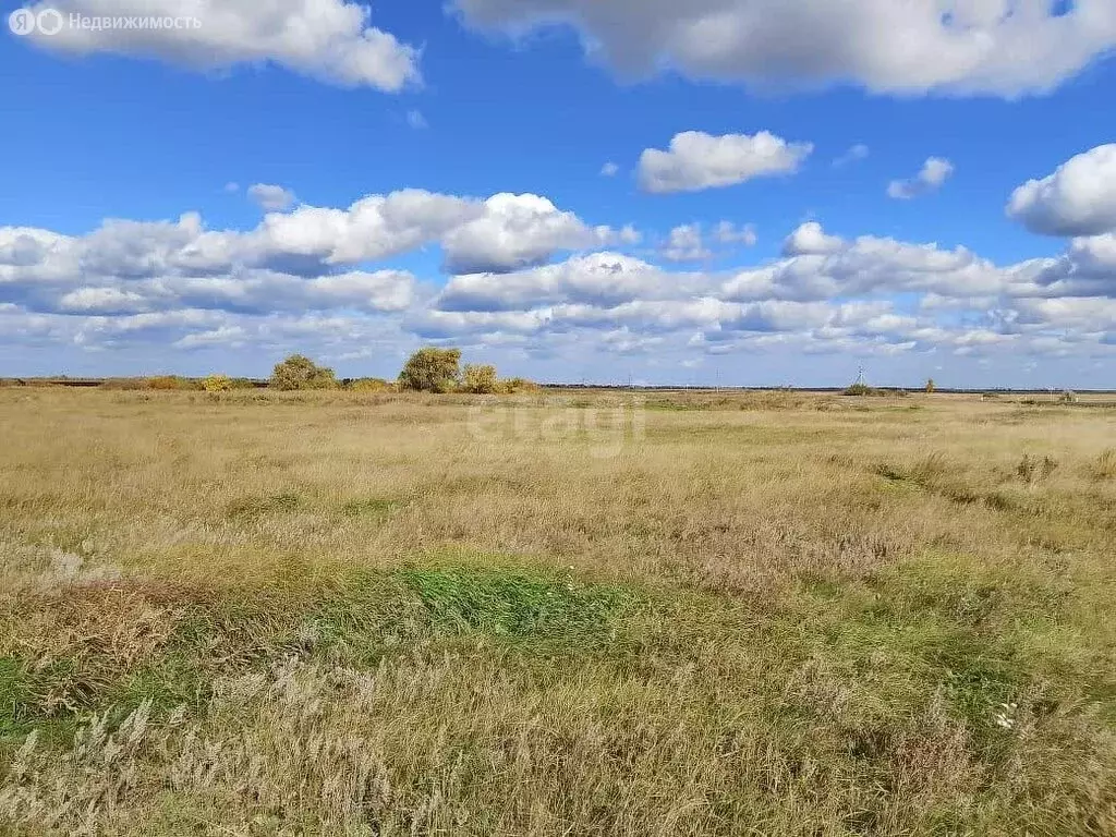 Участок в Курганская область, Кетовский муниципальный округ, село ... - Фото 1