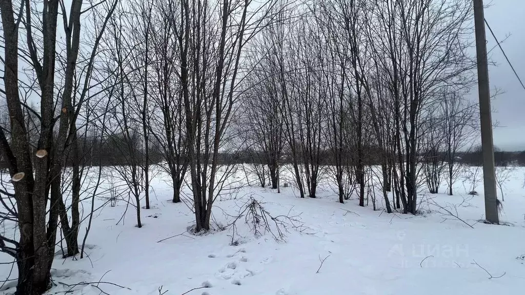 Участок в Московская область, Истра муниципальный округ, д. Назарово  ... - Фото 0