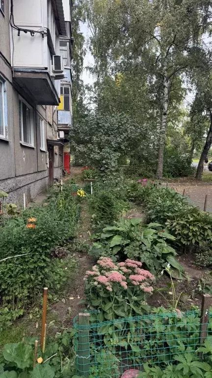 1-к кв. Татарстан, Казань ул. Восстания, 77 (31.9 м) - Фото 2