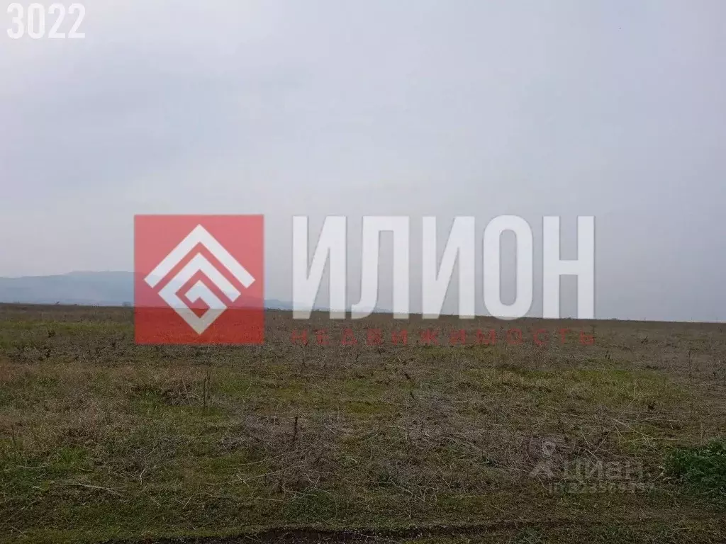 Участок в Крым, Первомайское пгт  (1000.0 сот.) - Фото 2