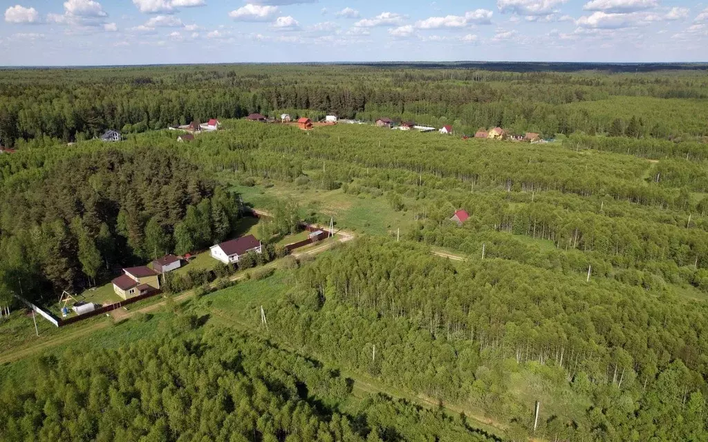 Участок в Московская область, Можайский городской округ, Лесные ... - Фото 1