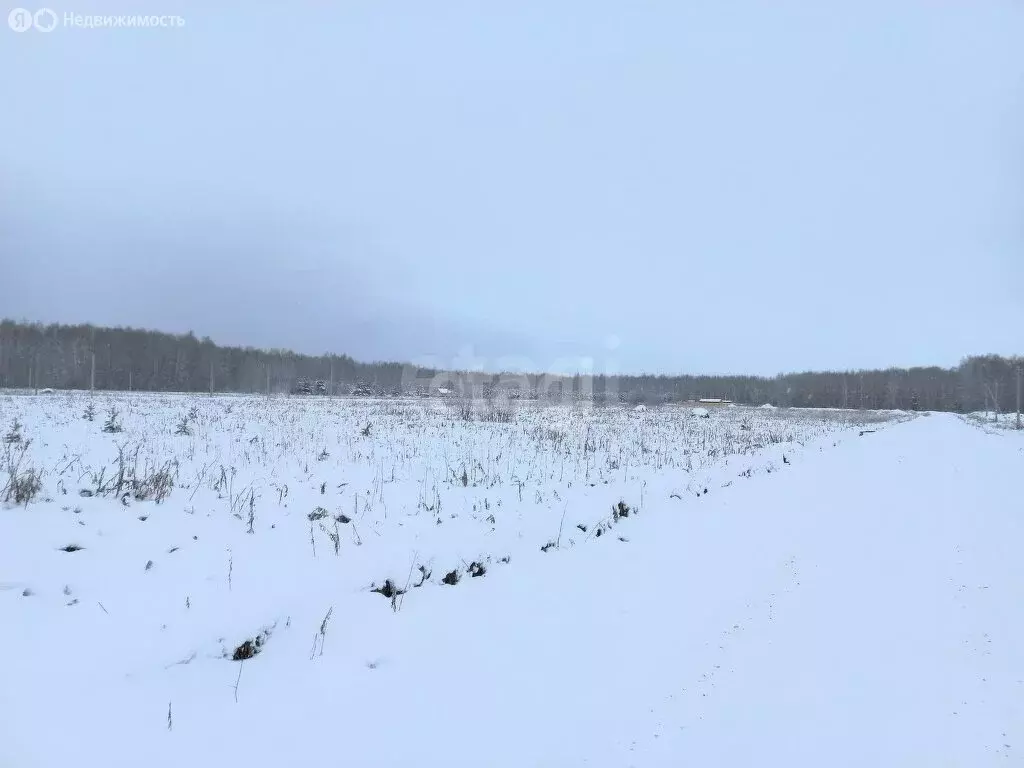 Участок в Тюменский район, деревня Решетникова, улица Свободы (14.95 ... - Фото 0