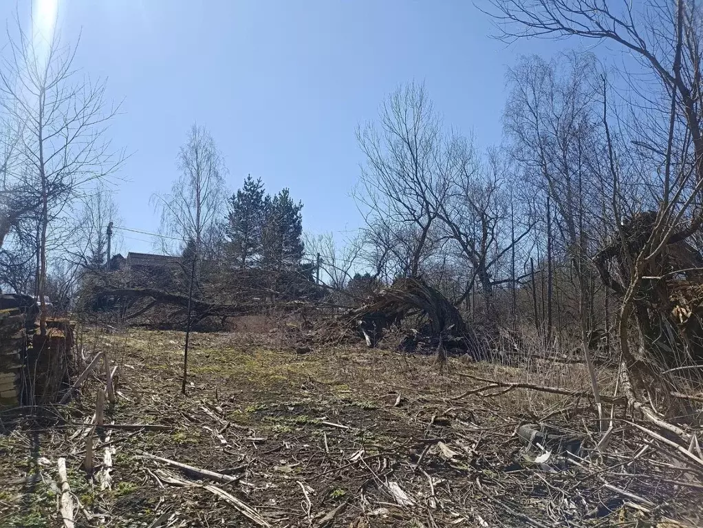 Участок в Москва д. Богородское, 4А (10.64 сот.) - Фото 1