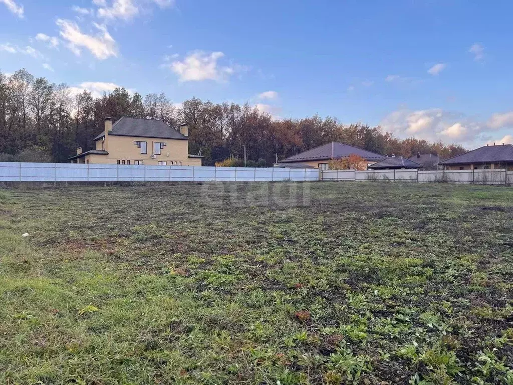 Участок в Липецкая область, Липецкий муниципальный округ, д. Ясная ... - Фото 1