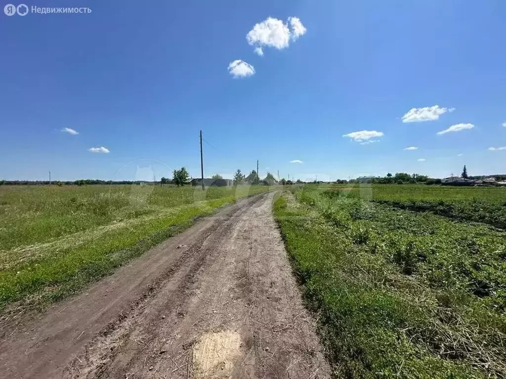Участок в Свердловская область, Тугулымский муниципальный округ, село ... - Фото 0