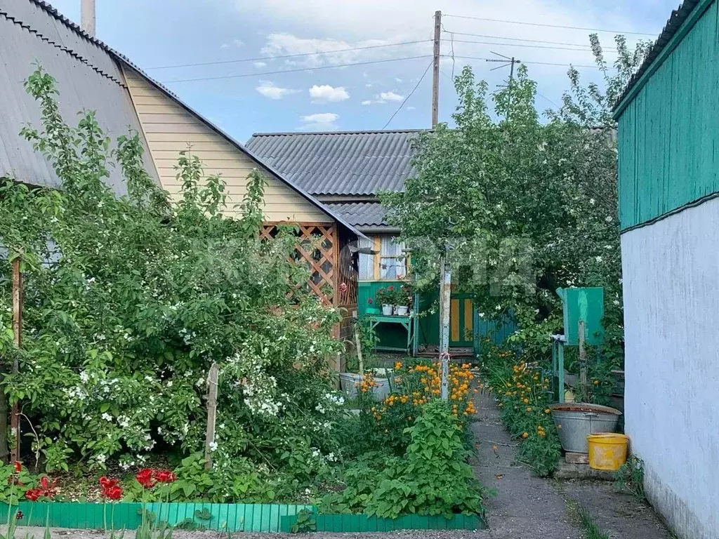 Дом в Новосибирская область, Новосибирский район, с. Верх-Тула ... - Фото 0