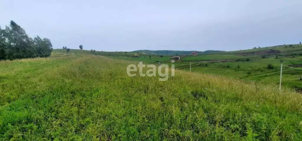 Участок в Алтай, Горно-Алтайск ул. Янсона (8.9 сот.) - Фото 1