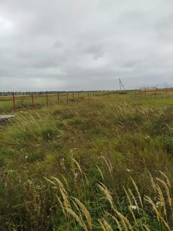 Участок в Пензенская область, с. Бессоновка ул. Родниковая (14.0 сот.) - Фото 1