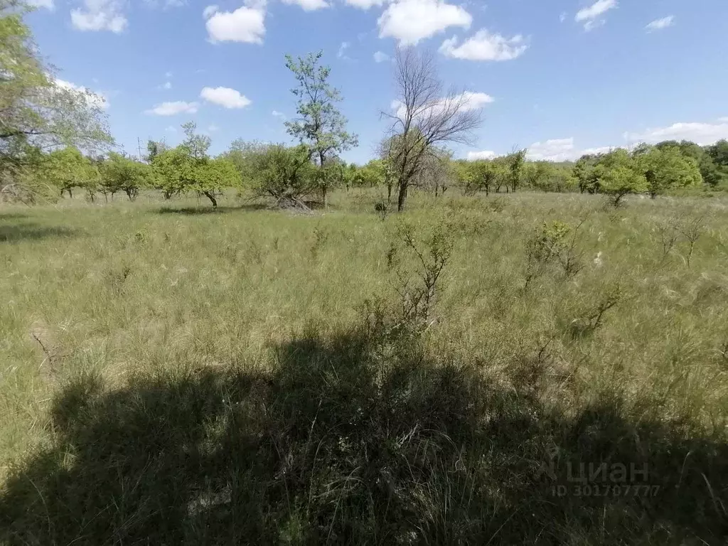 Участок в Волгоградская область, Городищенский район, Царицынское ... - Фото 1