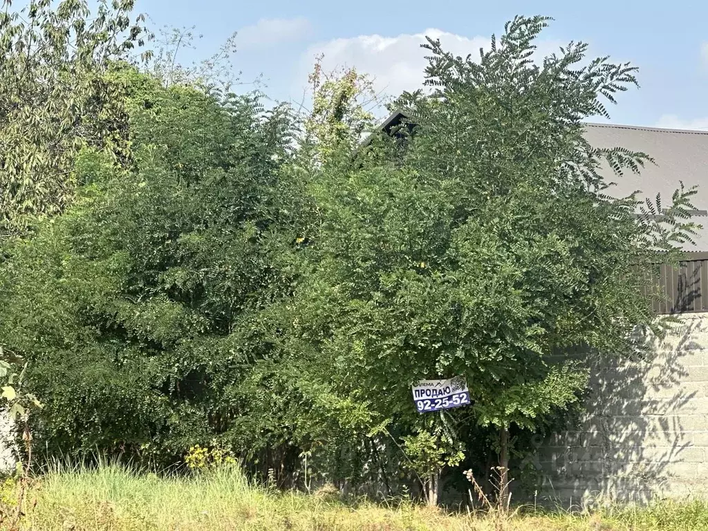 Участок в Северная Осетия, Владикавказ Учитель СТ, ул. 17-я линия (5.0 ... - Фото 2