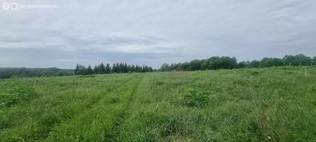 Участок в Московская область, Можайский муниципальный округ, ... - Фото 1