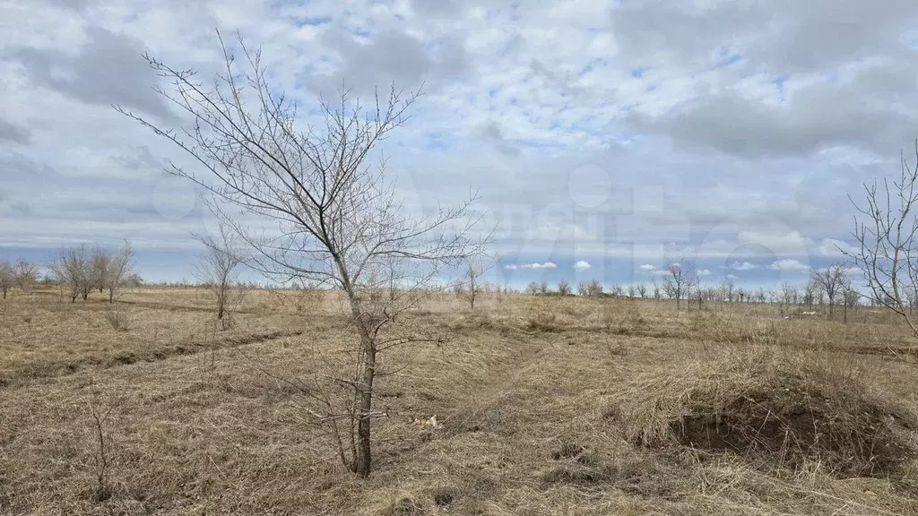 Участок 15 сот. (ИЖС) - Фото 1