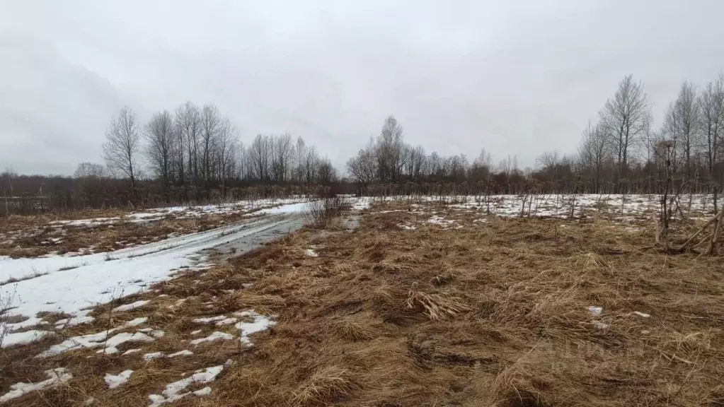 Участок в Ленинградская область, Сланцевский район, Старопольское ... - Фото 0