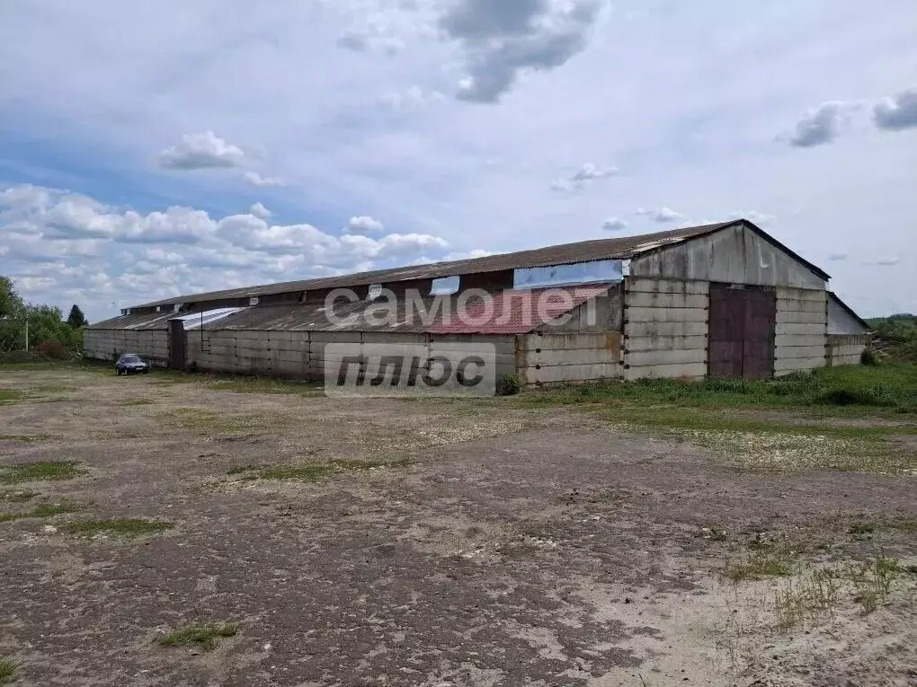 Склад в Московская область, Зарайск муниципальный округ, д. Пыжово  ... - Фото 1
