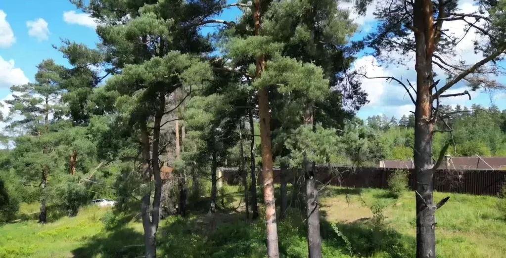 Участок в Ленинградская область, Выборгский район, Первомайское с/пос, ... - Фото 1