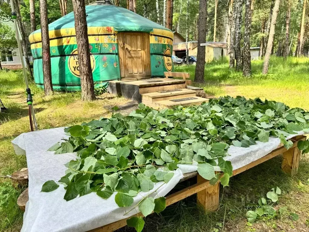Дом в Московская область, Богородский городской округ, пос. Горбуша ... - Фото 0