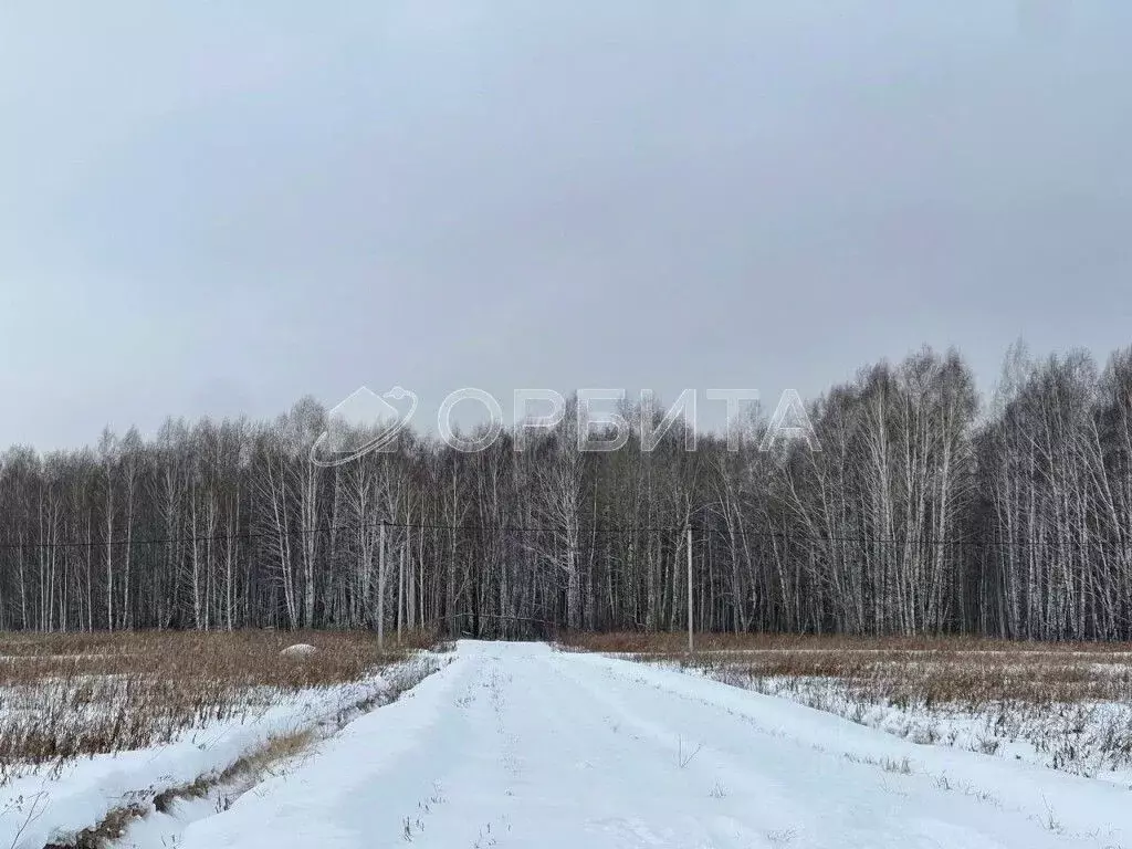 Участок в Тюменская область, Тюменский район, с. Кулига, Кулига-2 мкр  ... - Фото 1