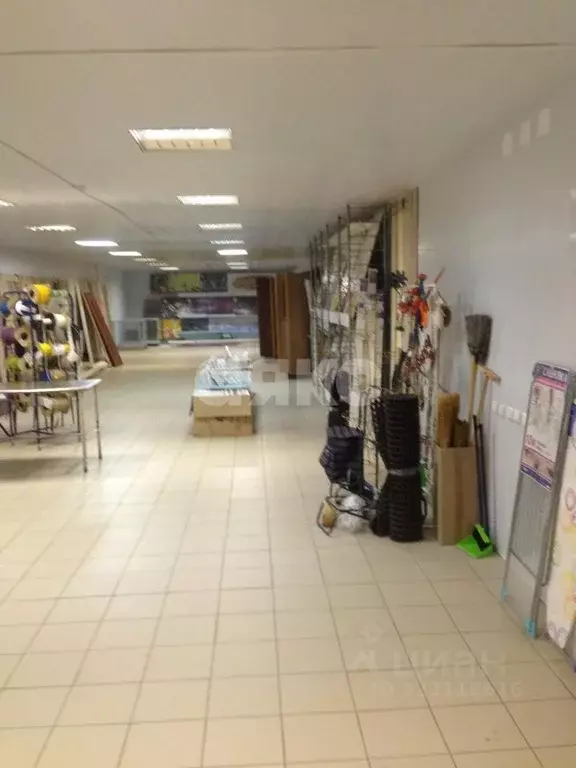 Торговая площадь в Волгоградская область, Волгоград ул. Карла ... - Фото 1