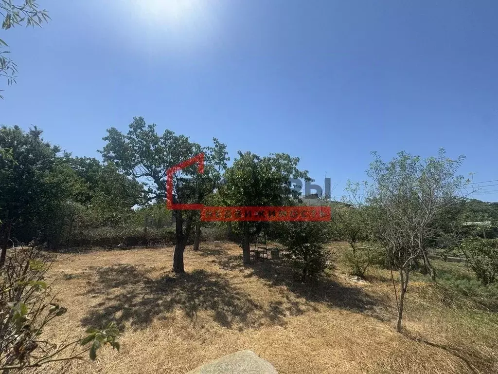 Дом в Севастополь Клеры-2 садоводческое товарищество, 133 (50 м) - Фото 2