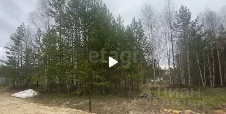 Участок в Ханты-Мансийский АО, Сургутского муниципального района тер., ... - Фото 1