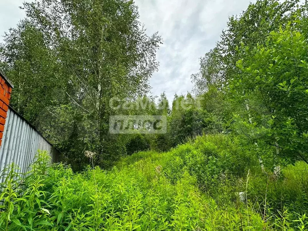 Участок 15 сот. (СНТ, ДНП) - Фото 0