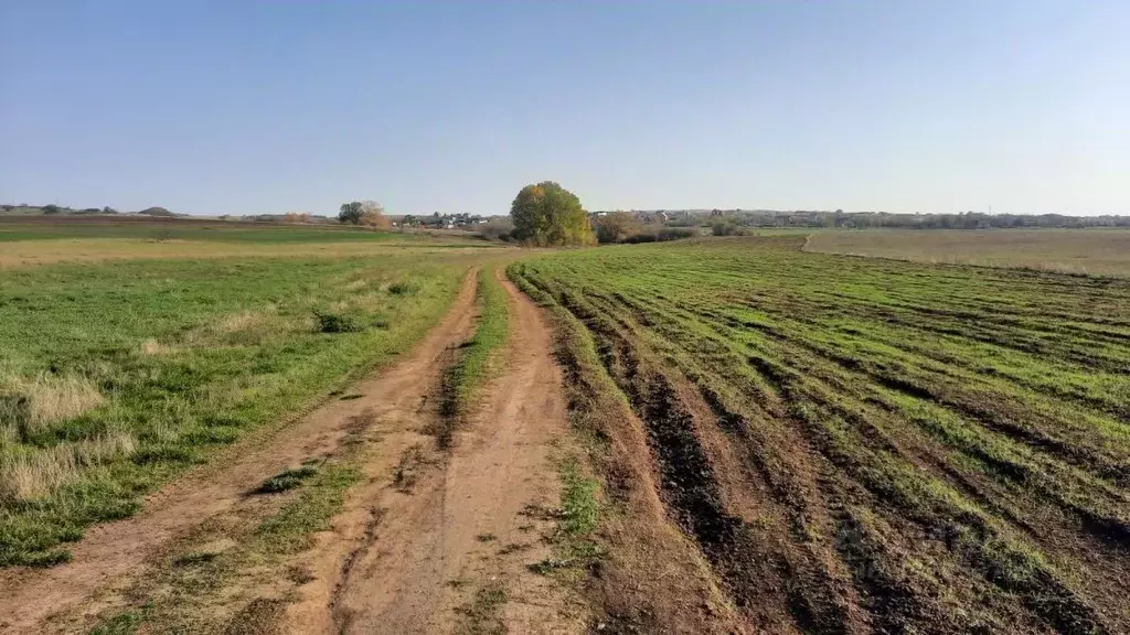 Участок в Крым, Симферопольский район, Перовское с/пос, с. ... - Фото 2