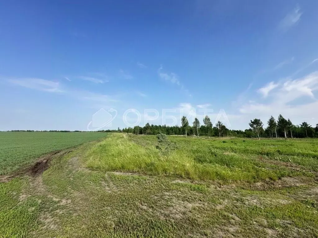 Участок в Тюменская область, Тюменский район, с. Ембаево  (266.0 сот.) - Фото 0
