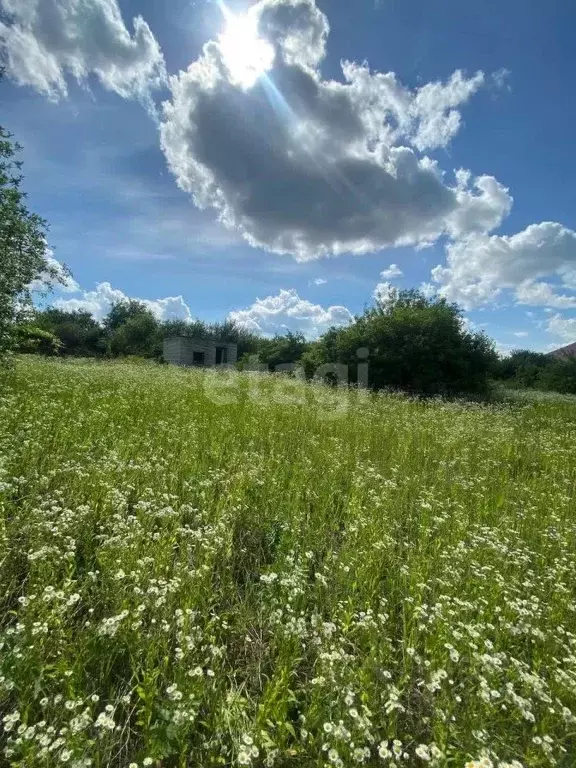 Участок в Белгородская область, Губкин Журавушка СТ,  (6.0 сот.) - Фото 1