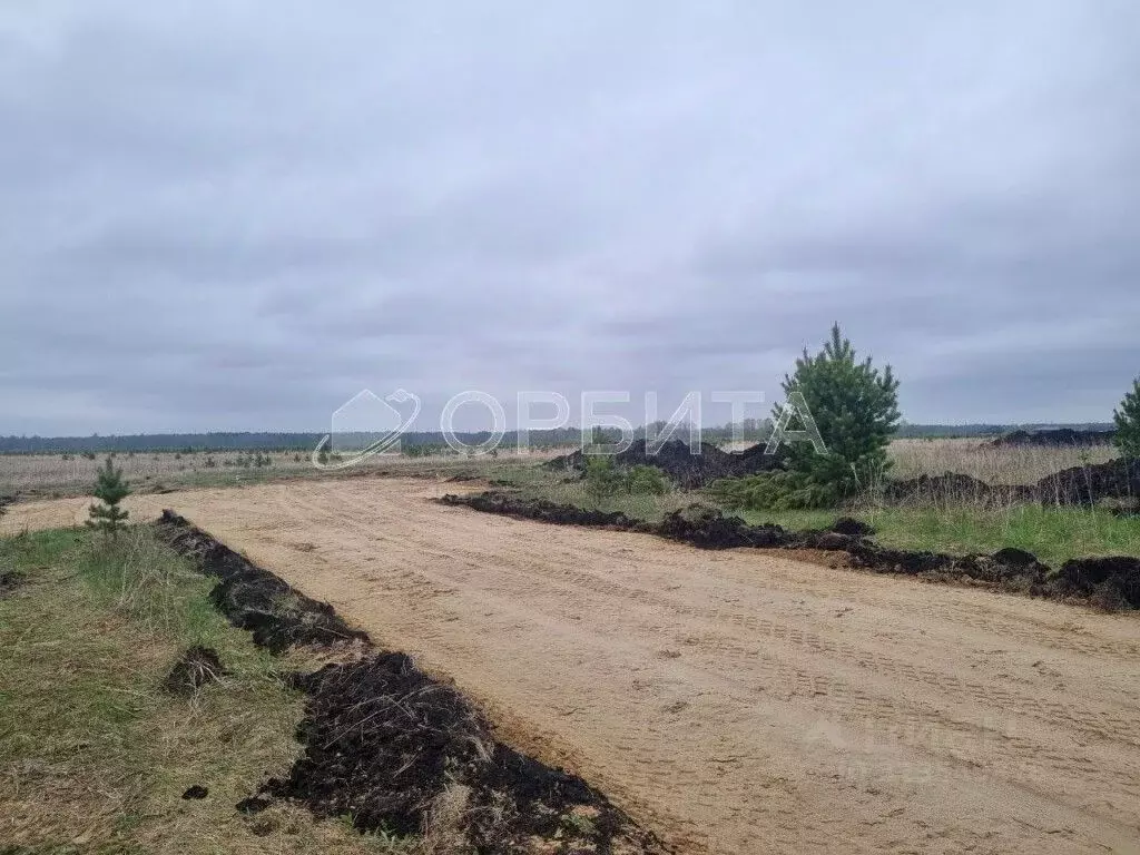 Участок в Тюменская область, Тюменский муниципальный округ, д. Елань ... - Фото 2