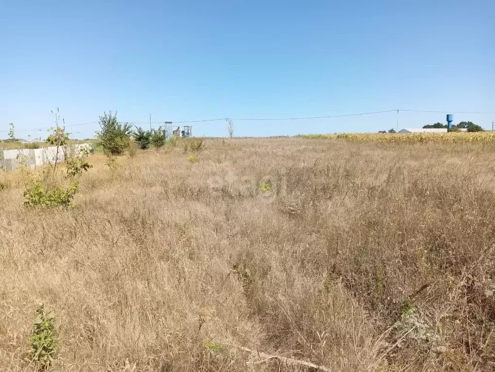 Участок в Белгородская область, Яковлевский муниципальный округ, с. ... - Фото 1