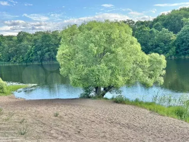Участок 20 сот. (ИЖС) - Фото 0