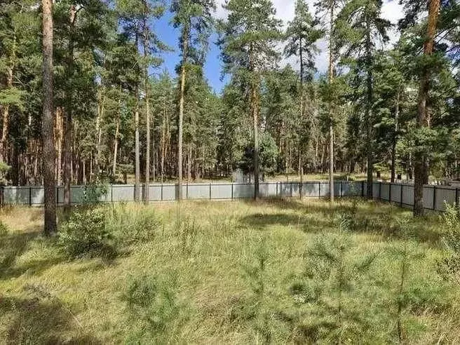 Участок в Самарская область, Красноярский район, Волжский рп ул. ... - Фото 1