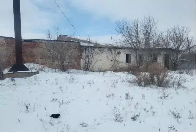 Помещение свободного назначения в Оренбургская область, Оренбургский ... - Фото 1