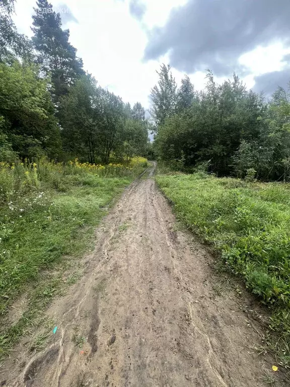 Участок в Орёл, СНТ Самолёт (4 м) - Фото 1
