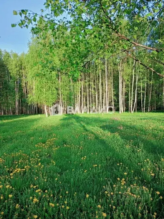 Участок в Владимирская область, Владимир Лунево мкр, ул. Луневская ... - Фото 2