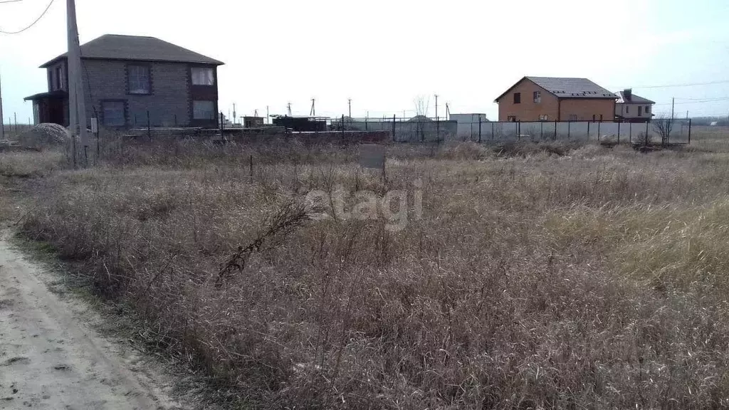Участок в Курская область, Курский район, Новопоселеновский сельсовет, ... - Фото 0