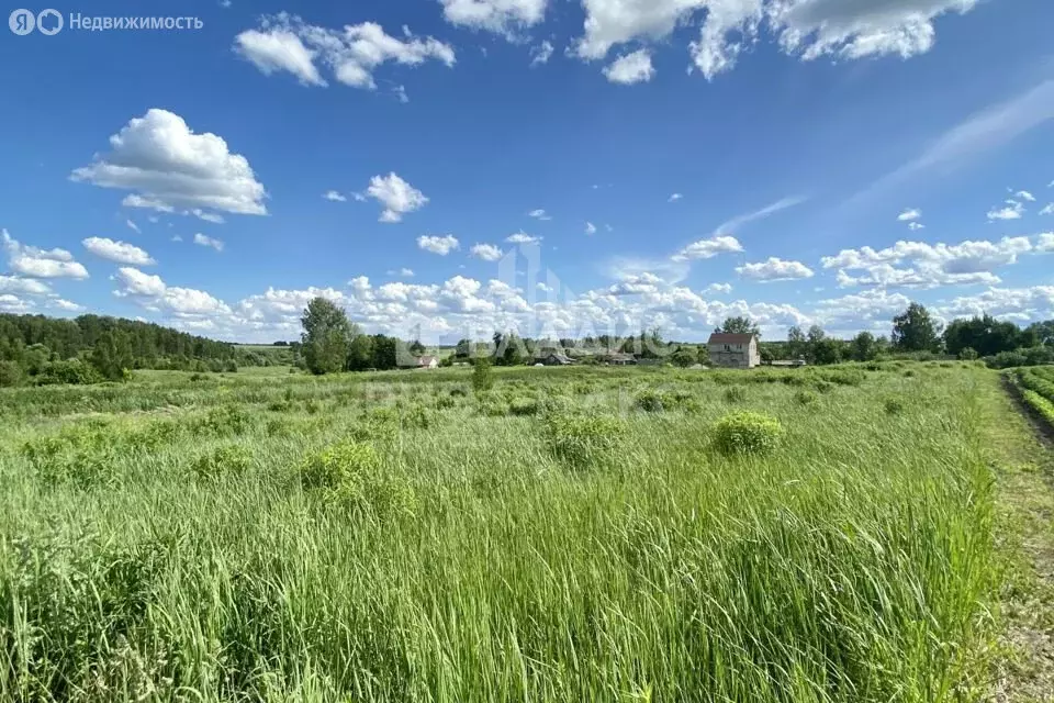 Участок в Брянский район, Снежское сельское поселение, посёлок Путёвка ... - Фото 1