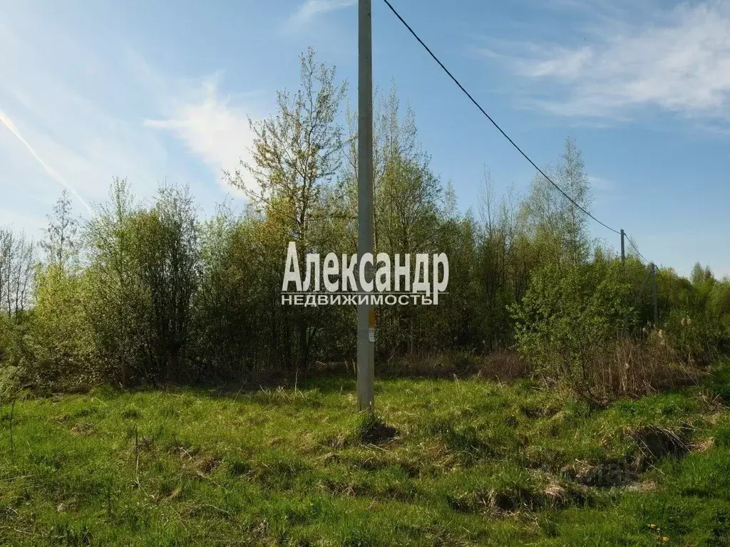 Участок в Санкт-Петербург пос. Понтонный, Заречье тер.,  (12.0 сот.) - Фото 0