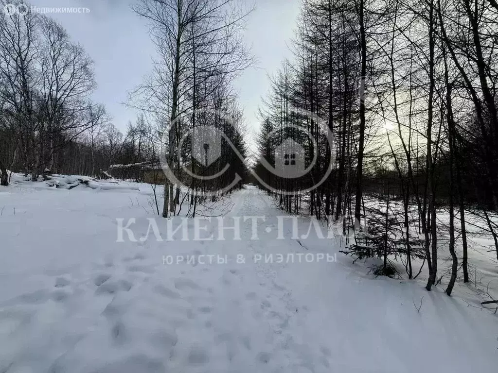 Участок в село Дачное, Шоссейная улица, 25 (10 м) - Фото 2