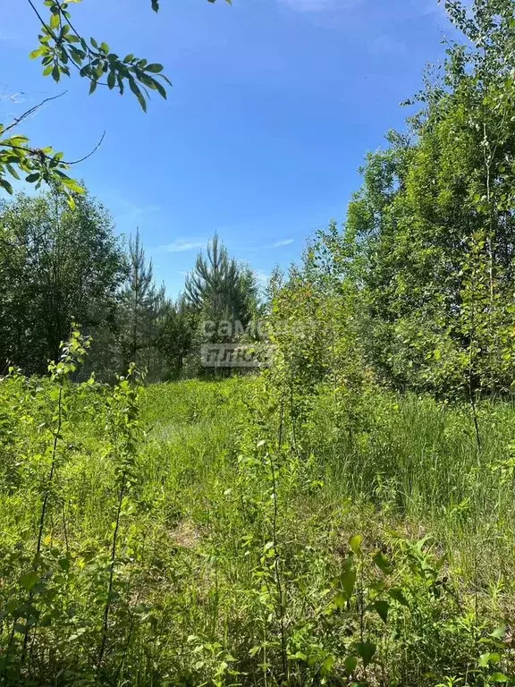 Участок 9,4 сот. (СНТ, ДНП) - Фото 1