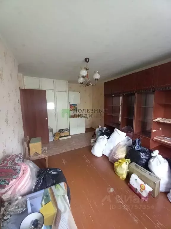 2-к кв. Курганская область, Курган ул. Дзержинского, 33Б (34.2 м) - Фото 1